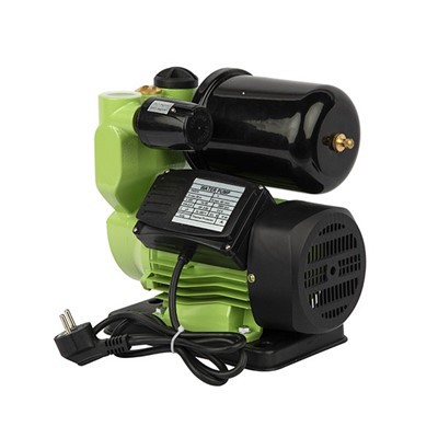 PW750 Eco-Elite Self{2}}Namp Pump|Преміальна продуктивність 0,75 кВт для великомасштабної зеленої інфраструктури
